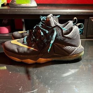 Lebron 12 SVSM Low